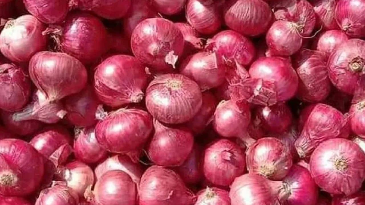 Onion price: শর্ত সাপেক্ষে পেঁয়াজের রফতানি শুল্ক প্রত্যাহার, দামের উপর কী প্রভাব পড়বে?