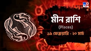 Pisces Horoscope: ব্যবসায় উন্নতি, প্ল্যান করে কাজ করলে সাফল্য পাবেন হাতেনাতে! জানুন রাশিফল