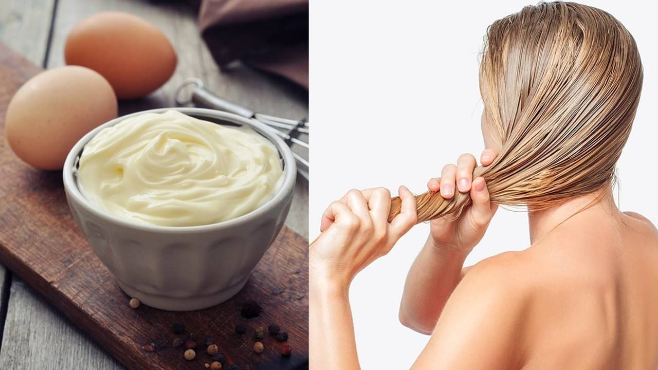 Protein Hair Mask: চুল দুর্বল? মজবুত করতে ব্যবহার করুন বাড়িতে বানানো প্রোটিন হেয়ার মাস্ক, রইল উপায়