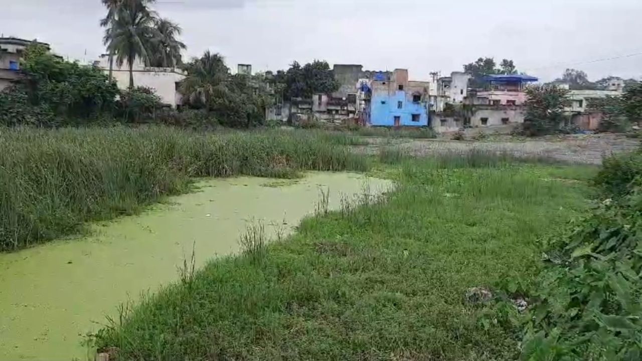 Purulia: পুকুর বুঝিয়ে বাড়ি, পুরুলিয়ায় প্রশ্নের মুখে পুরসভা