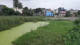 পুকুর বুঝিয়ে বাড়ি, পুরুলিয়ায় প্রশ্নের মুখে পুরসভা পুকুর বুঝিয়ে বাড়ি, পুরুলিয়ায় প্রশ্নের মুখে পুরসভা