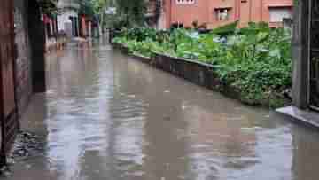 Weather Update: একই সঙ্গে ঘূর্ণাবর্ত আর নিম্নচাপ, পুজোর মুখে আবার নামবে ঝেঁপে বৃষ্টি