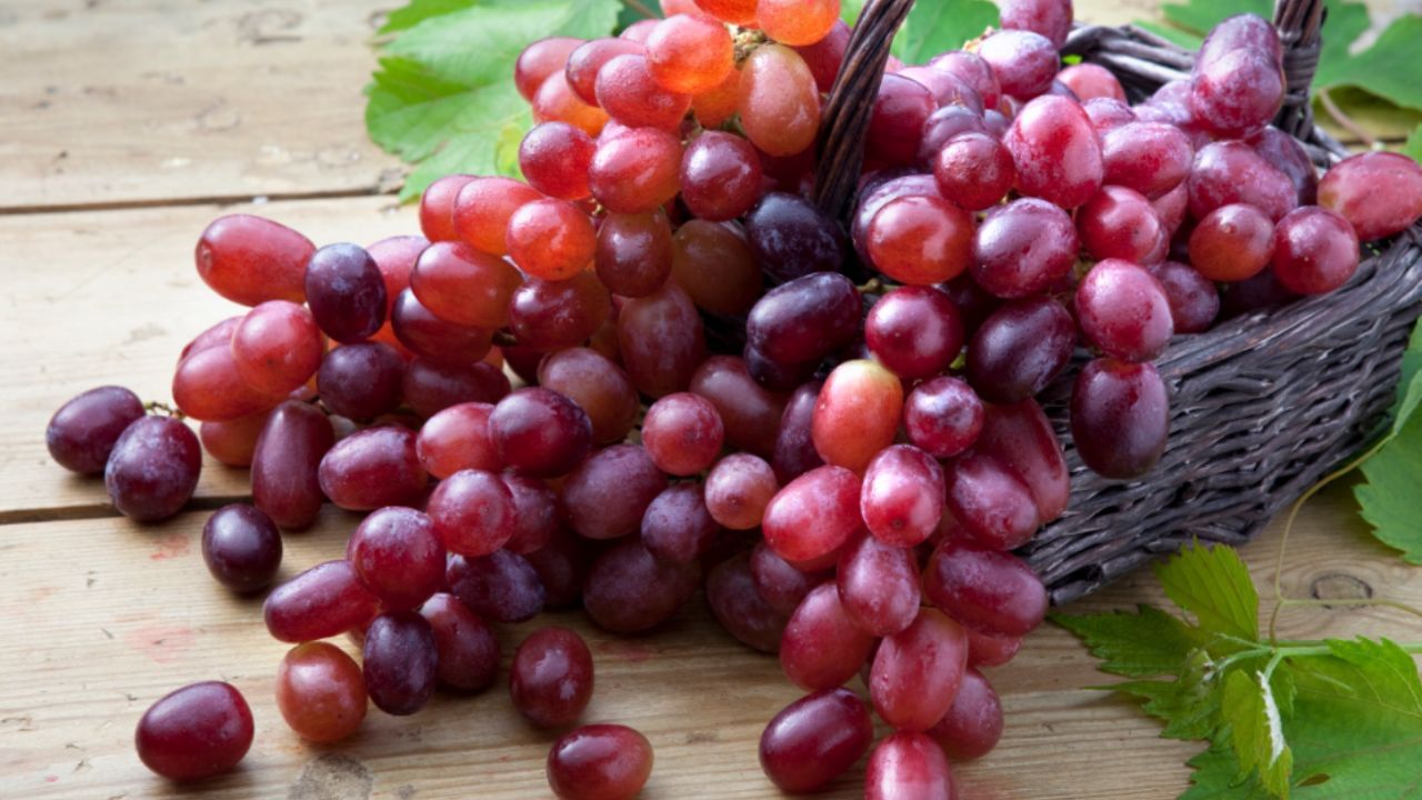 Red Grapes: শরীর চাঙ্গা করতে একমাত্র ভরসা লালা আঙুর, গুণ জানলে রোজ খাবেন