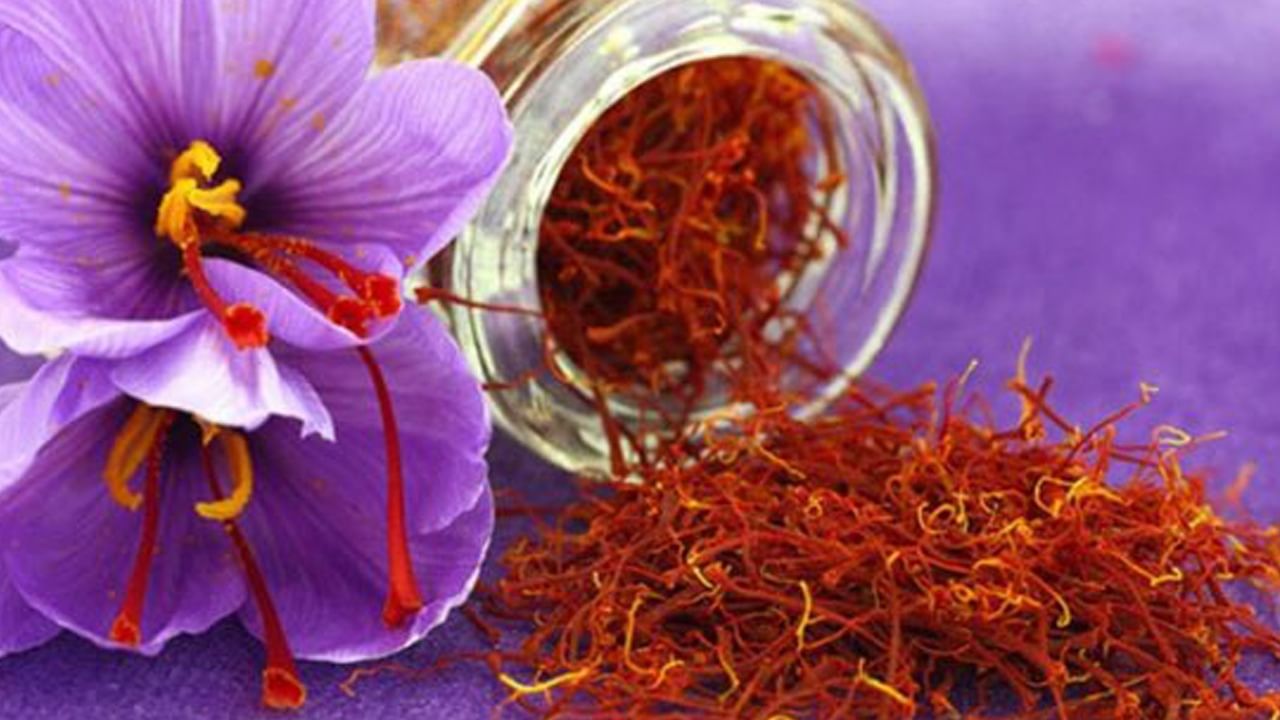 Saffron Benefits: জাদুকর জাফরান