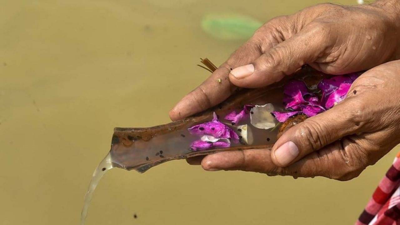 Pitru Paksha 2023: মহালয়ার দিন তর্পন কারা করবেন? কজন ব্রাহ্মণকে ভোজন করাতে হয়, জানেন না অনেকেই