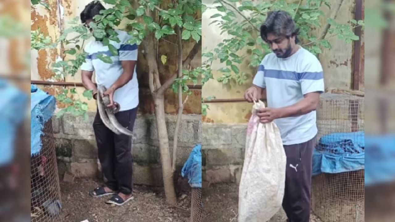 Viral Video: মুরগির খাঁচায় আটকে ছটফট করছিল বিরাট সাপ, খালি হাতে ধরে মুক্তির স্বাদ দিলেন উদ্ধারকারী