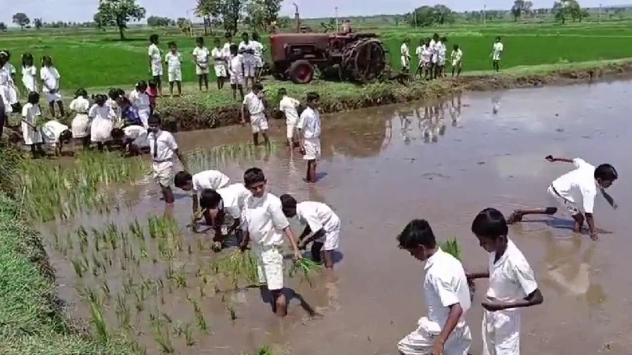 রাইচূড়ের এই বেন্দোনি সরকারি স্কুল বর্তমানে এক মডেল স্কুলের তকমা পেয়েছে। প্রতি সপ্তাহে শনিবার করে এই স্কুলে ‘ব্যাগ ফ্রি ডে’ থাকে। অর্থাৎ, পড়ুয়াদের এদিন ব্যাগ-পত্র নিয়ে আসতে হয় না। এই দিনে পারিপার্শ্বিক পরিবেশের সঙ্গে পড়ুয়াদের আরও একাত্ম করতে একটি শিক্ষামূলক ভ্রমণের ব্যবস্থা করা হয়।
