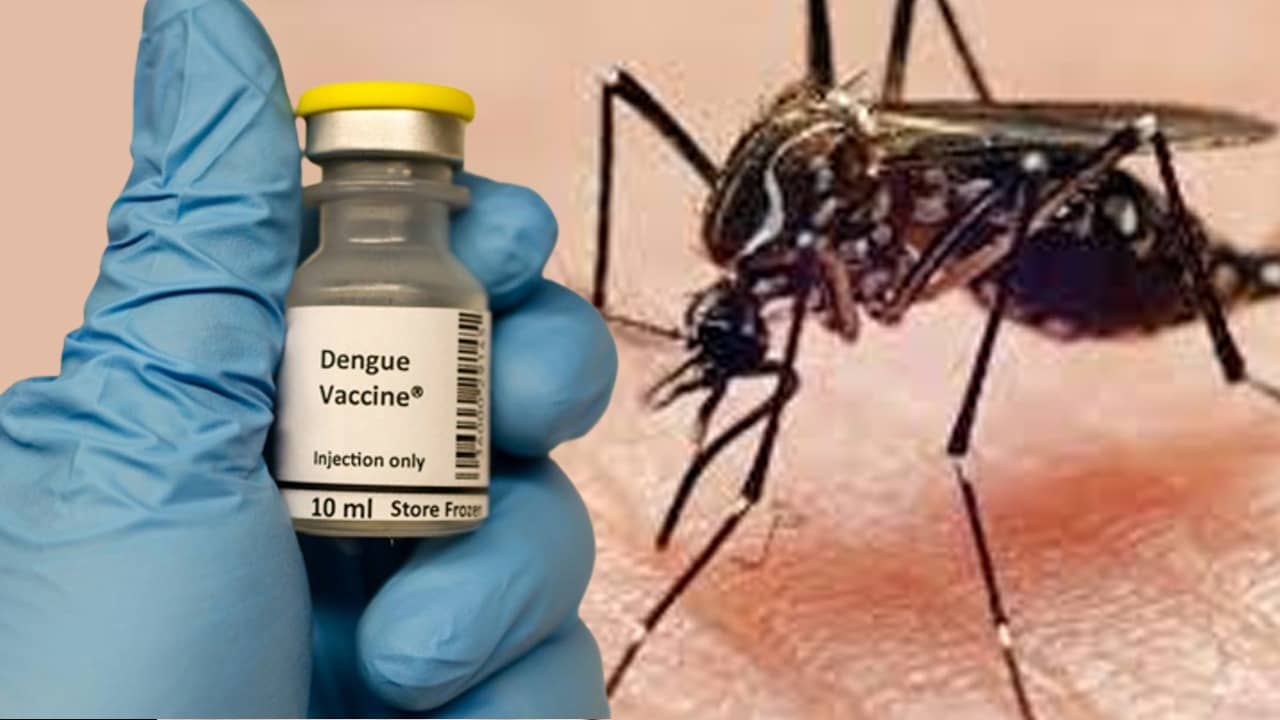 Dengue vaccine: আসতে চলেছে ডেঙ্গির টিকা, দ্বিতীয় ট্রায়াল রান সফল