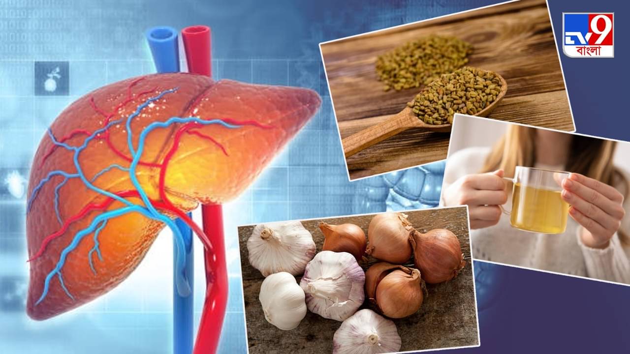 How To Clean Liver: এই ৬ আয়ুর্বেদ লিভারের কোণায় জমে থাকা সব ময়লা দূর করে দেবে, শরীরে দ্রুত রক্তও তৈরি হবে