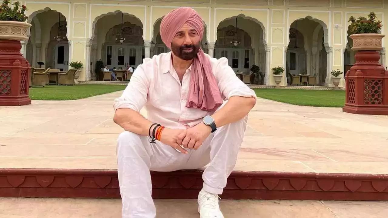 Sunny Deol On Politics: রাজনীতি ছাড়ছেন সানি? সংসদে গড় হাজিরা নিয়ে কী বললেন অভিনেতা...