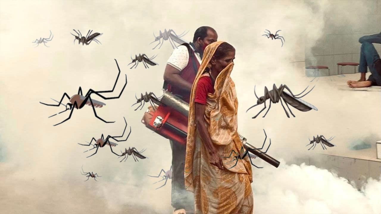 Dengue: বিশ্বের অর্ধেক মানুষ ডেঙ্গি আক্রান্ত হবে