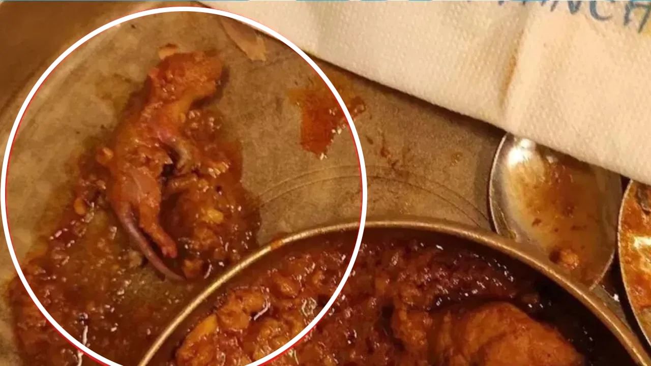 Mumbai Restaurant: চিকেনের সঙ্গে নেংটি ইঁদুর! নামী রেস্তোরাঁয় খাবার অর্ডার করে চক্ষু ছানাবড়া Mumbai Restaurant: চিকেনের সঙ্গে নেংটি ইঁদুর! নামী রেস্তোরাঁয় খাবার অর্ডার করে চক্ষু ছানাবড়া