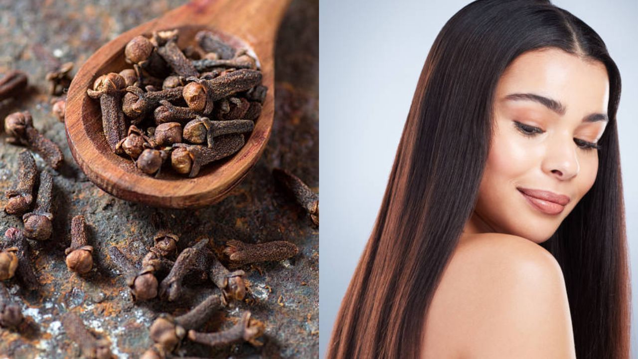 Clove for Hair Care খুশকি থেকে পাকা চুল দূর হবে লবঙ্গের গুণে, কীভাবে