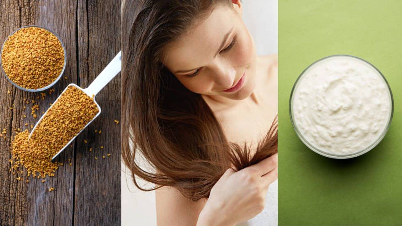 Best Home Remedy: চুলের পিছনে সময় দিতে পারছেন না? সপ্তাহে মাত্র ১ দিন এই দুই উপাদান দিয়ে যত্ন নিন