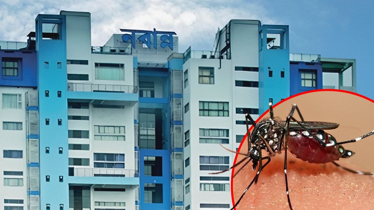 Dengue: ডেঙ্গি নিয়ে উদ্বিগ্ন রাজ্য, উত্তরবঙ্গ-সহ দক্ষিণের তিন জেলায় বিশেষ সতর্কবার্তা