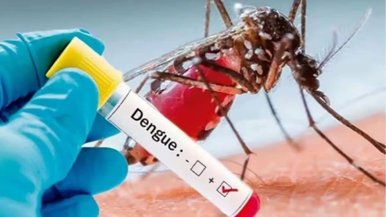 Dengue: সাত জেলায় ডেঙ্গি পরিস্থিতি উদ্বেগজনক, নবান্নের রিপোর্টে কোন কোন জেলা?
