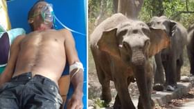 হাতির হানায় মৃত্যু, বাড়িতে ঢুকে পিষে দিল বৃদ্ধকে হাতির হানায় মৃত্যু, বাড়িতে ঢুকে পিষে দিল বৃদ্ধকে