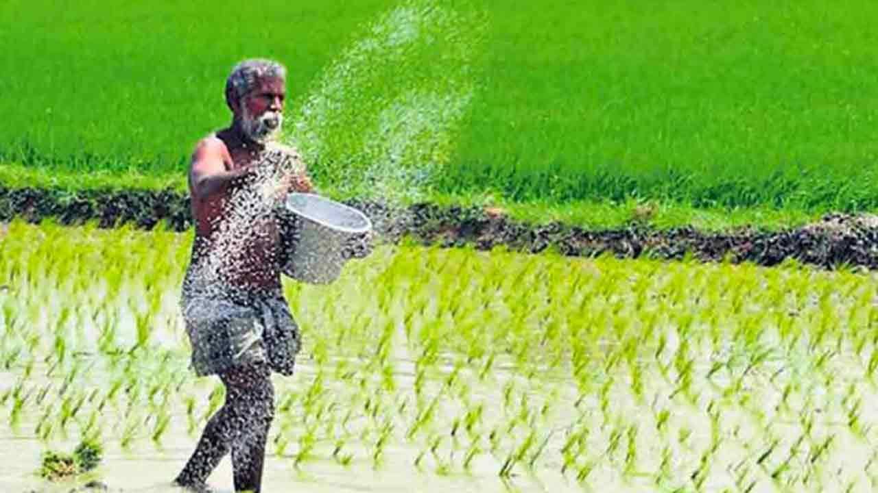 PM Kisan Scheme: কৃষকদের সহায়তায় নতুন এআই চ্যাটবট আনল কৃষি মন্ত্রক