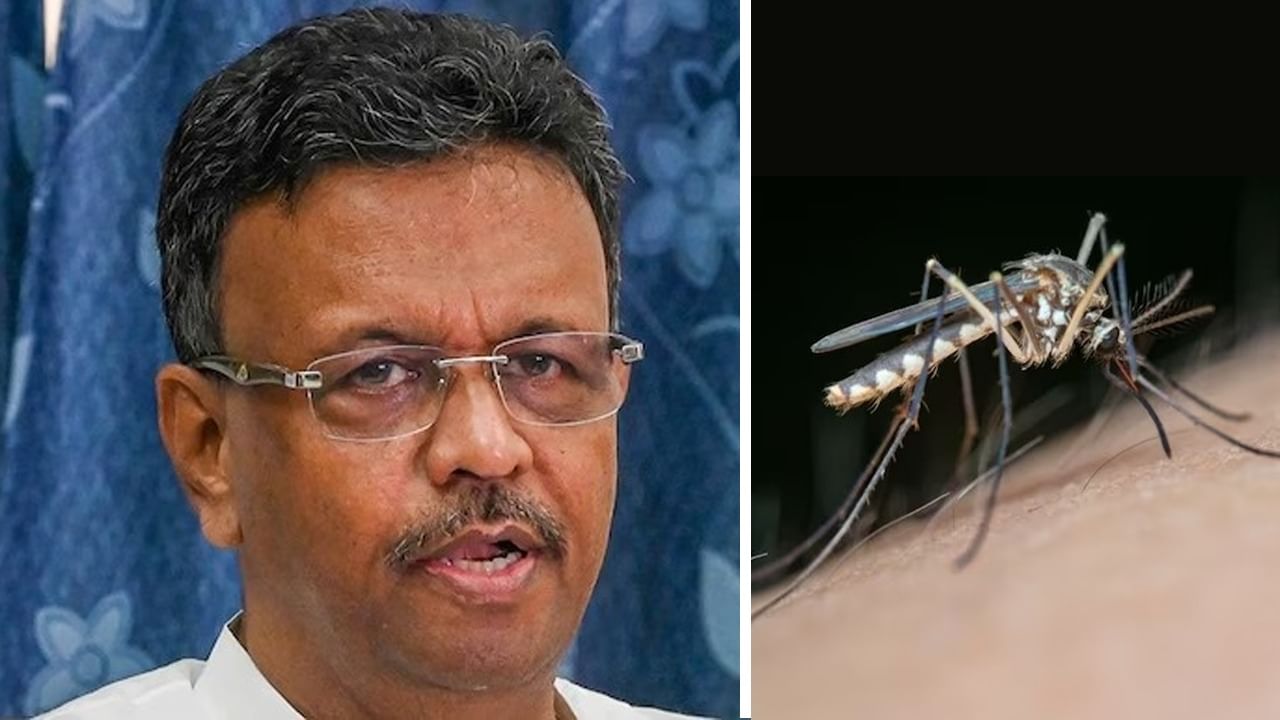 Dengue: ডেঙ্গি ফের কাড়ল প্রাণ, পুরনিগম সমস্ত ব্যবস্থা নিচ্ছে বলে আশ্বাস ফিরহাদের