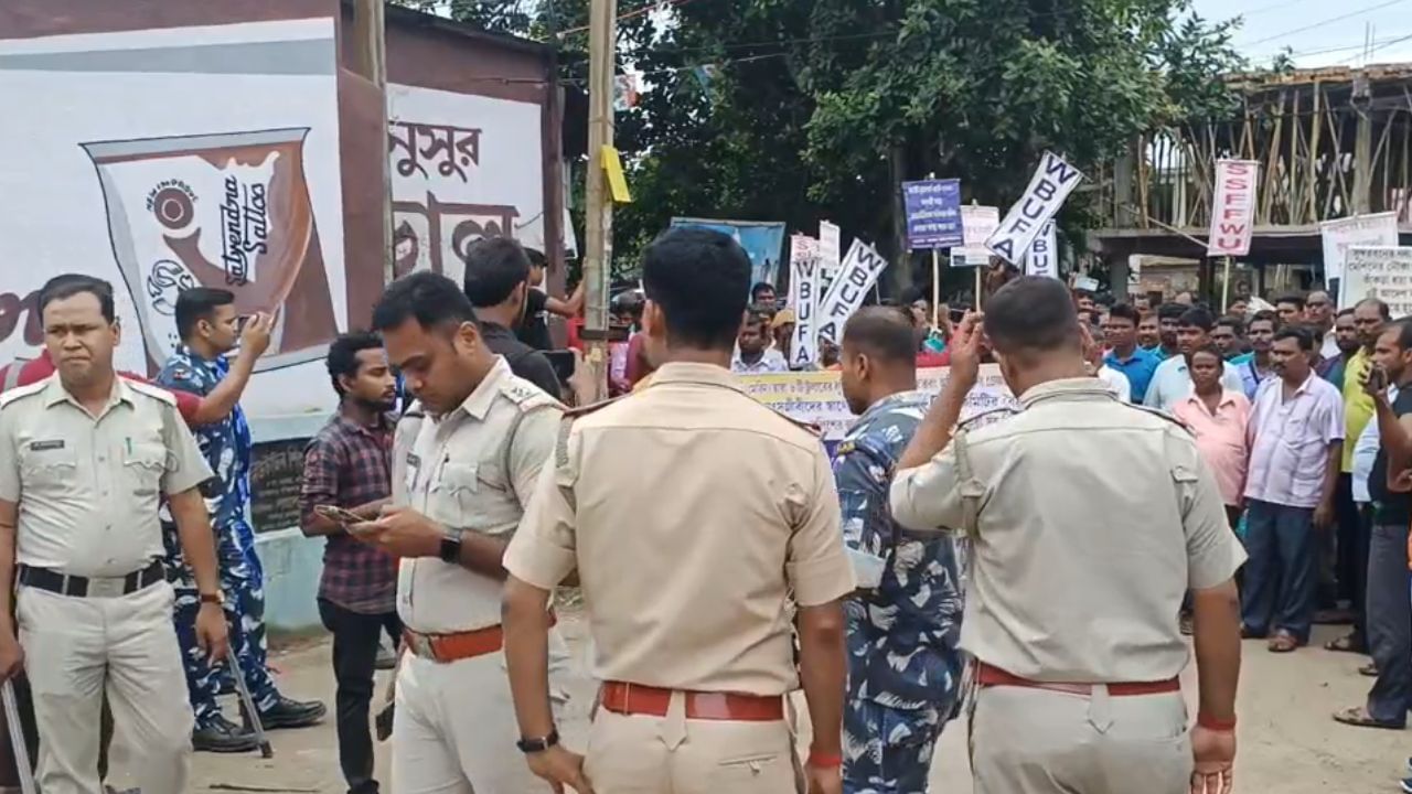 Fisheries: ছোট ইলিশ ধরার নামে জুলুমবাজি, মৎসদফতরের বিরুদ্ধে ফুঁসল ডায়মন্ড হারবারের মৎস্যজীবী সংগঠন