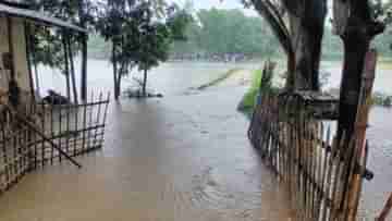 River Erosion: ফুঁসছে টাঙ্গন, ভাঙনের ভয়ে বিনিদ্র রাত কাটাচ্ছে কুশমণ্ডি