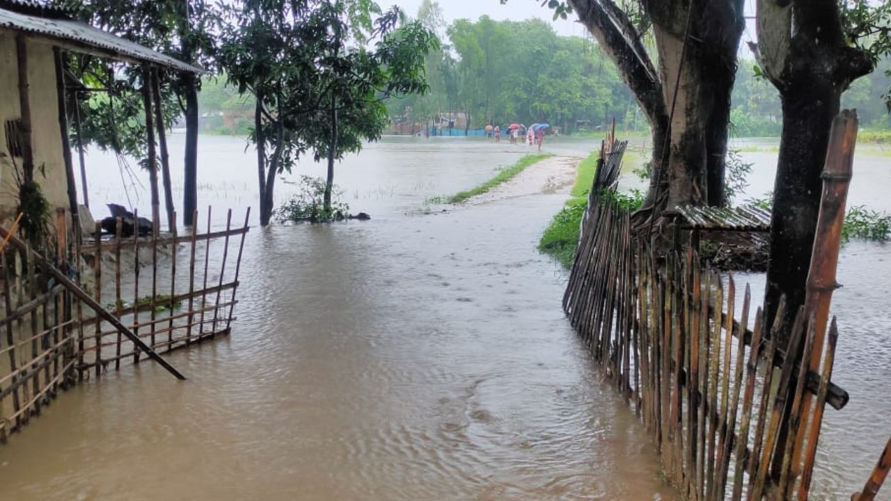 River Erosion: ফুঁসছে টাঙ্গন, ভাঙনের ভয়ে বিনিদ্র রাত কাটাচ্ছে কুশমণ্ডি