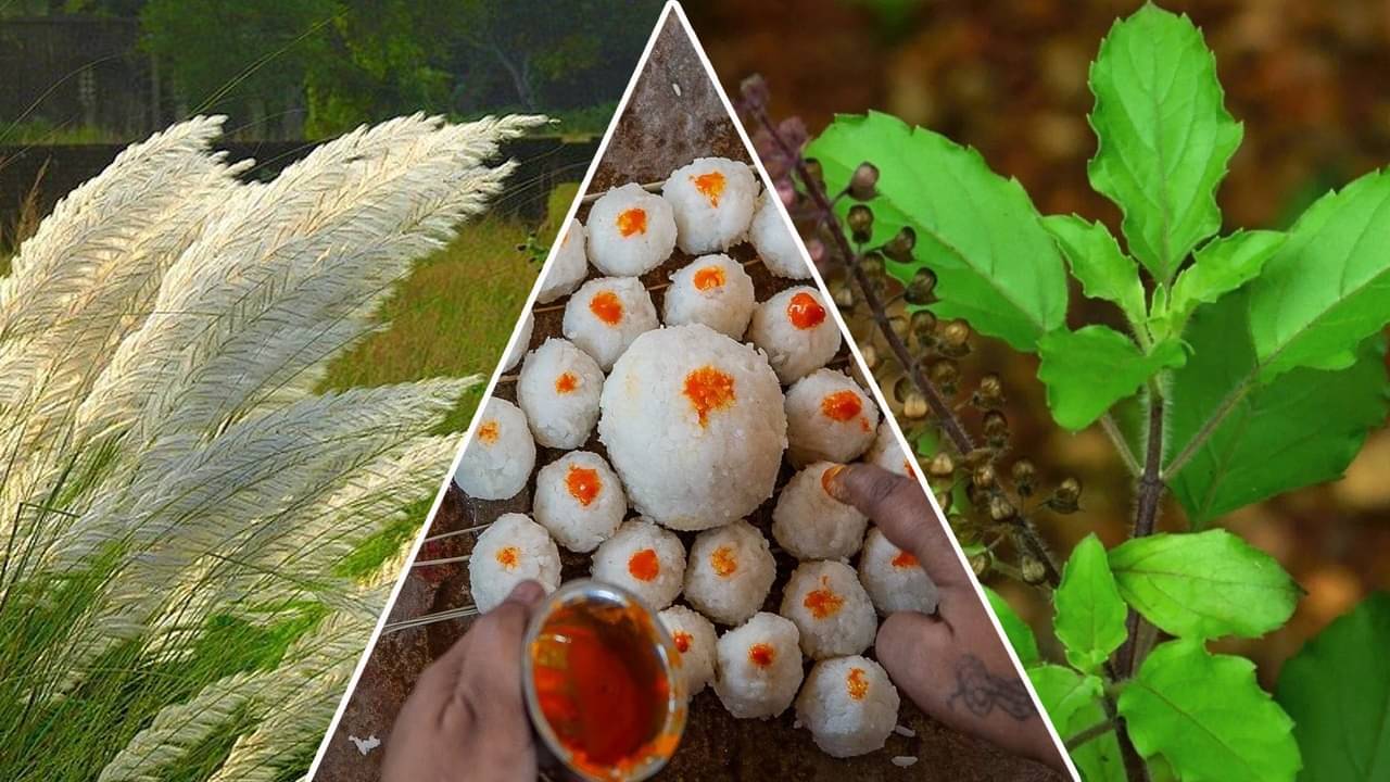 Pitru Paksha 2023:  এই ফুল ছাড়া তর্পন অসম্পূর্ণ! ভুলেও কোন ফুল শ্রাদ্ধের সময় ব্যবহার করবেন না?