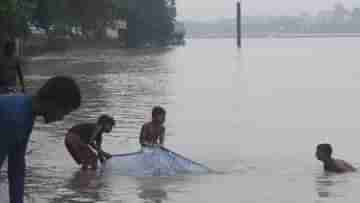 Howrah: দিনভর ঝাঁকে ঝাঁকে উঠল প্রচুর মাছ, নামল মানুষের ঢল, কী হচ্ছে হাওড়ার ঘাটগুলিতে?