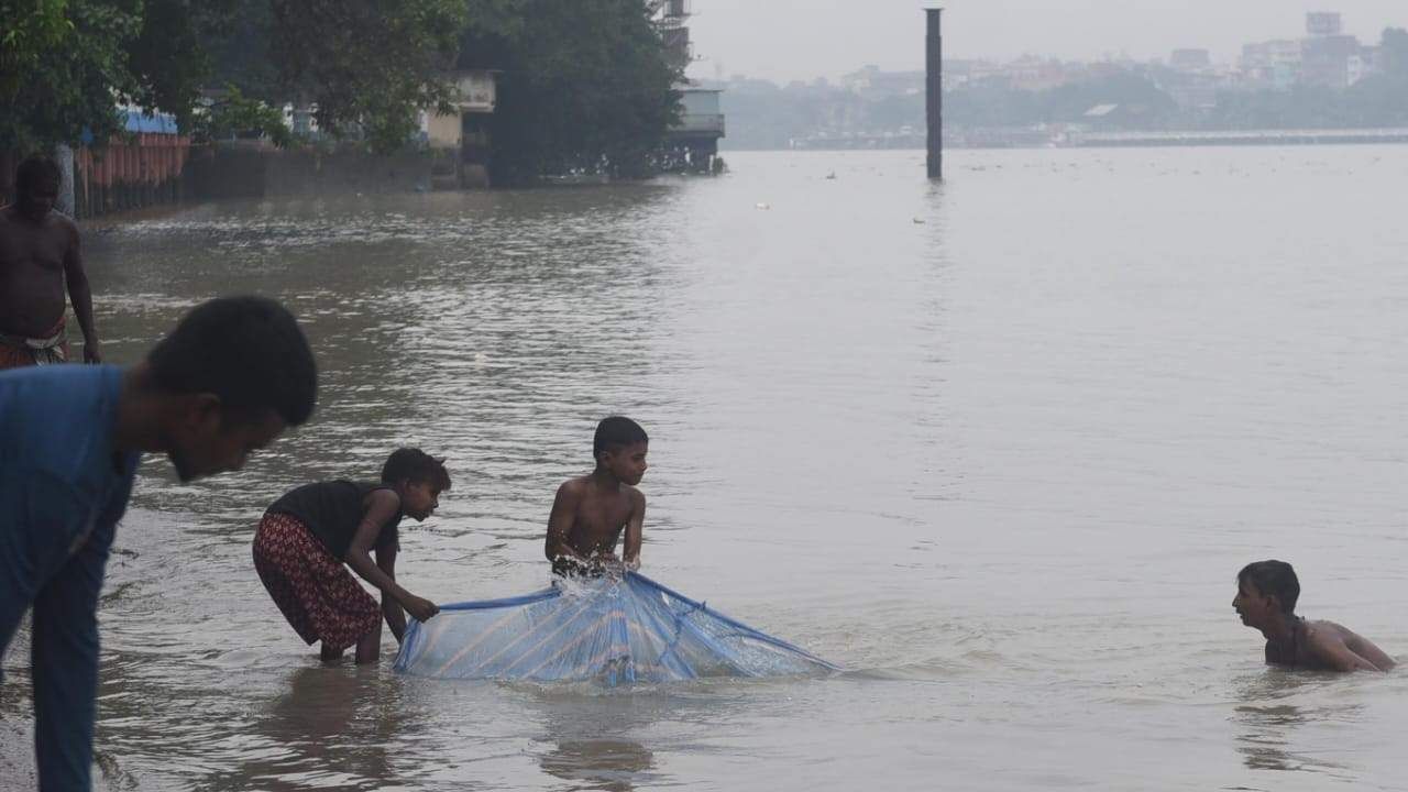 Howrah: দিনভর ঝাঁকে ঝাঁকে উঠল প্রচুর মাছ, নামল মানুষের ঢল, কী হচ্ছে হাওড়ার ঘাটগুলিতে?