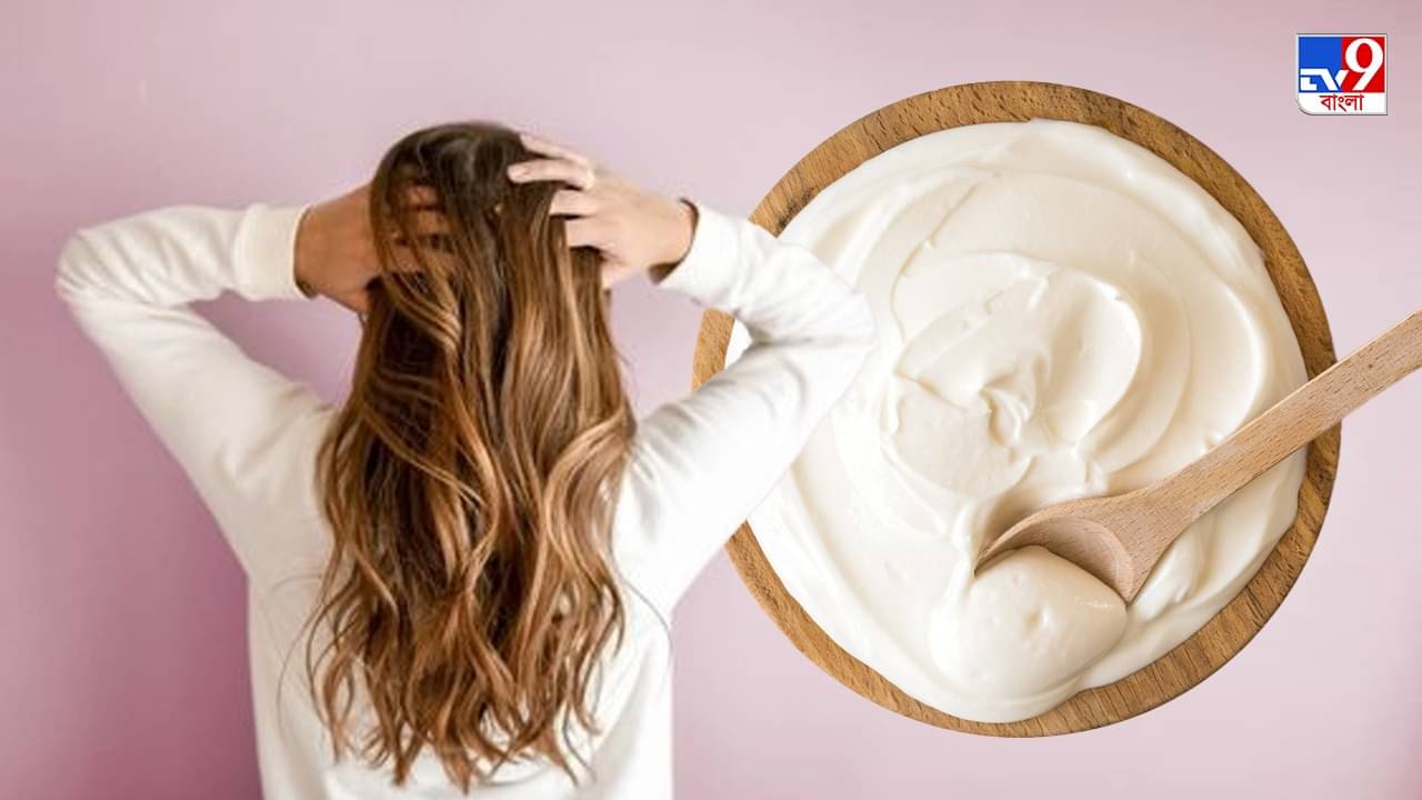 Curd For Hair: খুশকি থেকে শুরু করে রুক্ষতার সমস্যাকে বিদায় জানান দইয়ের গুণে, জানুন ব্যবহার