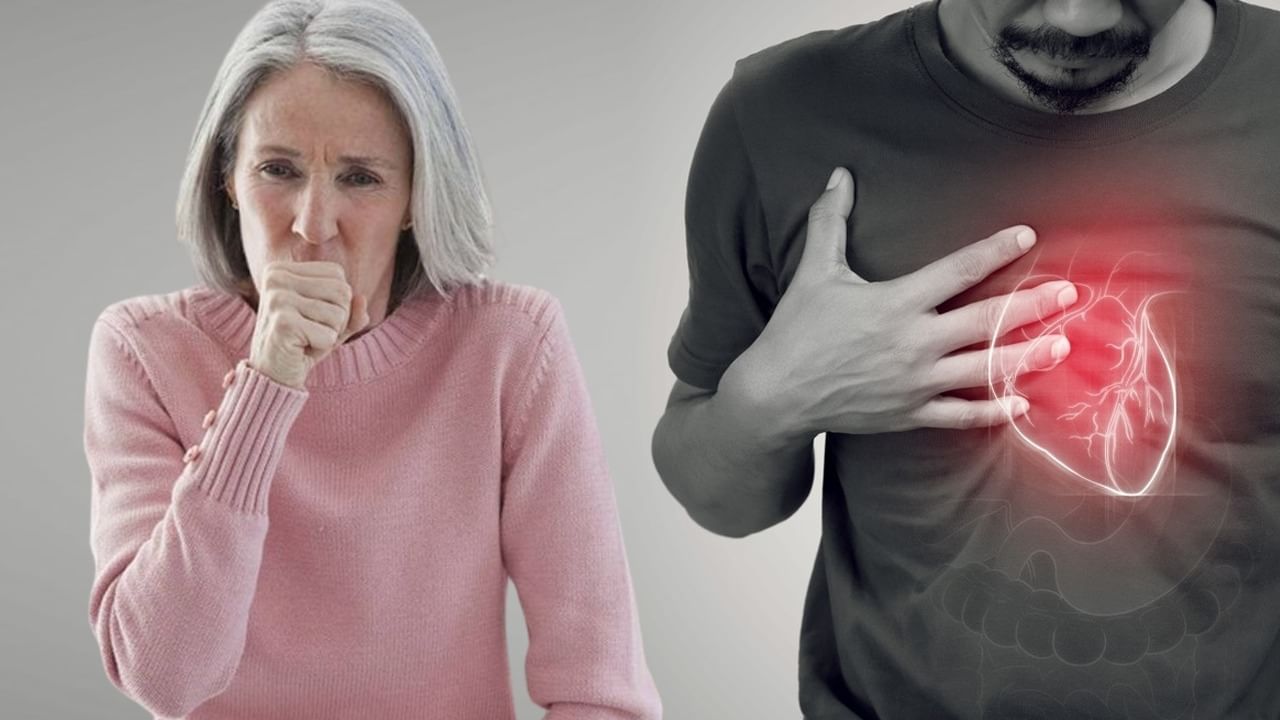Pulmonary Hypertension: সারাবছর সর্দিকাশি লেগেই থাকে? হালকা ভাবে নিলেই বিপদ! হতে পারে হার্ট ফেলিওর Pulmonary Hypertension: সারাবছর সর্দিকাশি লেগেই থাকে? হালকা ভাবে নিলেই বিপদ! হতে পারে হার্ট ফেলিওর