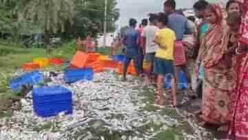 Hilsa: ইলিশের গাড়ি উল্টেছে, খবর ছড়াতেই দলে দলে ছুটলেন রুপোলি শস্য তুলতে