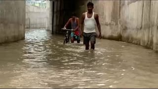 Insect Bite in Malda: বোলতার কামড়ে মৃত্যু!