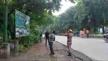 Kulik Bird Sanctuary: মা-বাবা, দুই ছানা; পাখি গুনতে দারুণ ফর্মুলা বন বিভাগের