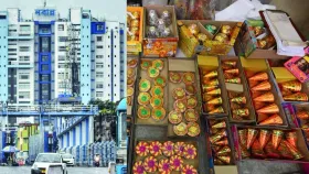 Fire Crackers Factory: জেলা থেকে কোনও লাইসেন্স নয়, বাজি কারখানায় চলবে IB অভিযান: নবান্ন Fire Crackers Factory: জেলা থেকে কোনও লাইসেন্স নয়, বাজি কারখানায় চলবে IB অভিযান: নবান্ন