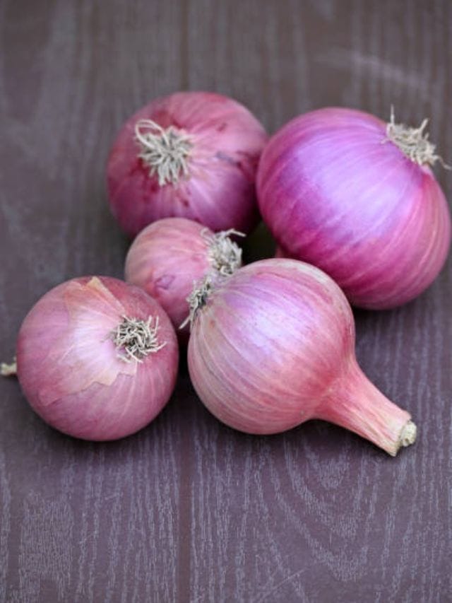 পেঁয়াজের রস মেখে ত্বকের জেল্লা বাড়ান TV9Bangla How To Use Onion