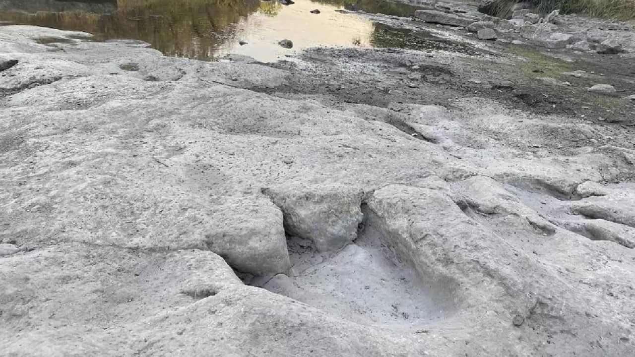 Dinosaur footprints: 11.3 কোটি বছর আগে আমেরিকা জুড়ে ঘুরে বেড়াত ডাইনোসররা, সামনে এল বিশাল পায়ের ছাপ