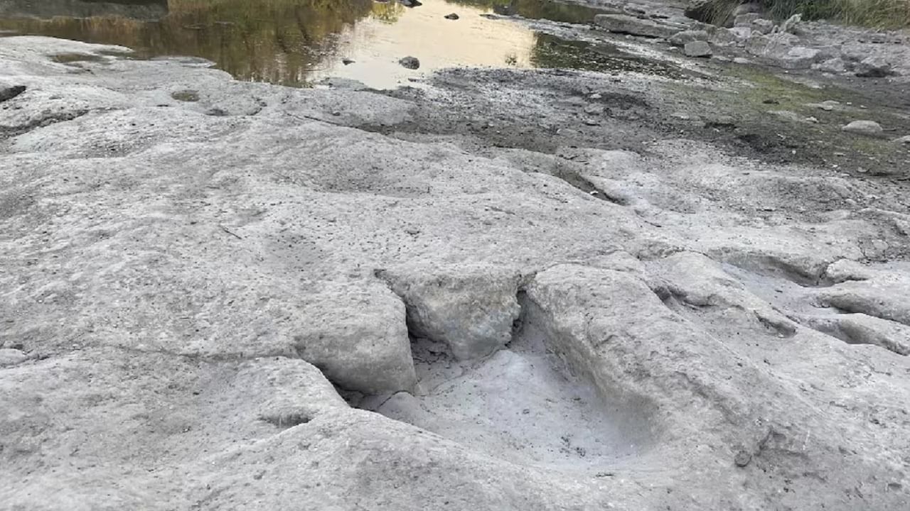 Dinosaur footprints: 11.3 কোটি বছর আগে আমেরিকা জুড়ে ঘুরে বেড়াত ডাইনোসররা, সামনে এল বিশাল 'পায়ের ছাপ'