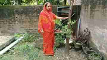 Sandalwood Plant: কন্যাসন্তান জন্মালেই চন্দন গাছ লাগান এই গ্রামের বাসিন্দারা