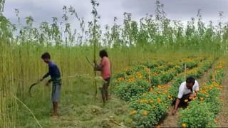 Kurmi Protest in Purulia: আবার রেল অবরোধ