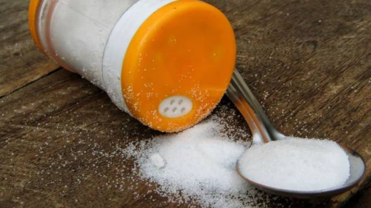 Salt Intake: সুস্থ থাকতে প্রতিদিন কত গ্রাম নুন খাওয়া সুরক্ষিত?