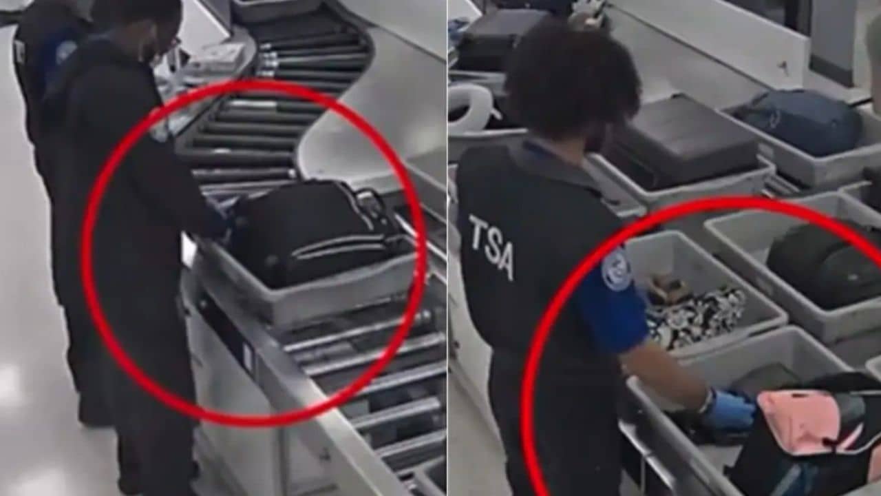 Airport theft: যাত্রীদের ব্যাগ থেকে টাকা সরাচ্ছেন বিমানবন্দরের কর্মীরা, চাঞ্চল্যকর ফুটেজ প্রকাশ্যে