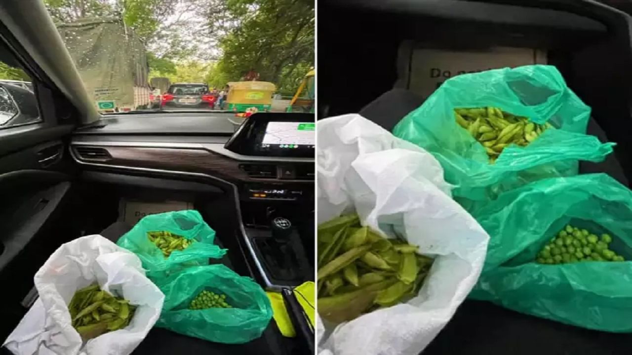 Viral Post: ট্রাফিক জ্যামে গাড়িতে বসেই এক প্যাকেট মটরশুঁটি ছাড়িয়ে ফেললেন মহিলা, ভাইরাল হল ছবি Viral Post: ট্রাফিক জ্যামে গাড়িতে বসেই এক প্যাকেট মটরশুঁটি ছাড়িয়ে ফেললেন মহিলা, ভাইরাল হল ছবি