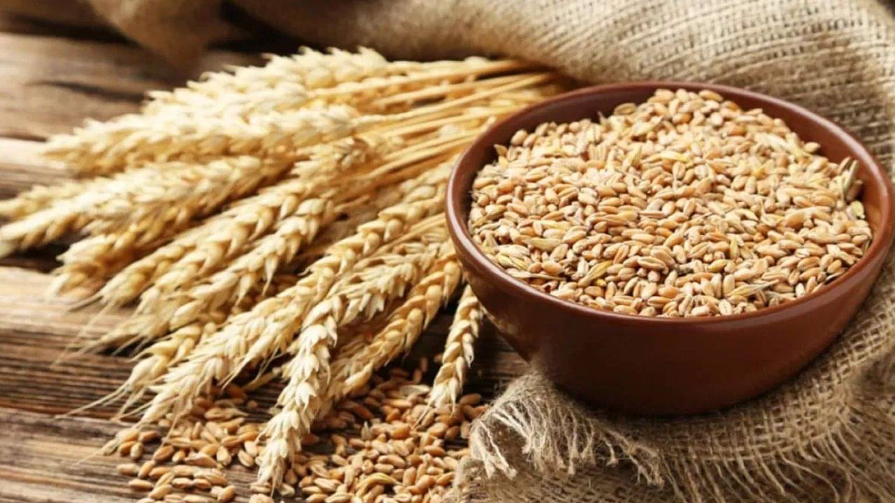 Wheat Price: আটার দাম কমাতে বিশেষ উদ্যোগ কেন্দ্রের, এবার খোলা বাজারে মিলতে পারে গম