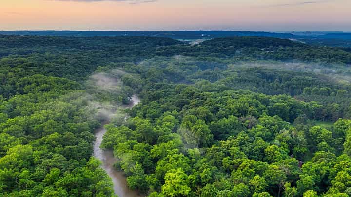 Amazon River: নীলের চেয়ে বড় হবে আমাজন? Amazon River: নীলের চেয়ে বড় হবে আমাজন?
