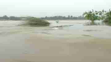 Bankura Flood: বাঁকুড়া যেন আস্ত দ্বীপ! ১৭-১৮ গ্রামে ঢুকে পড়ল দ্বারকেশ্বর