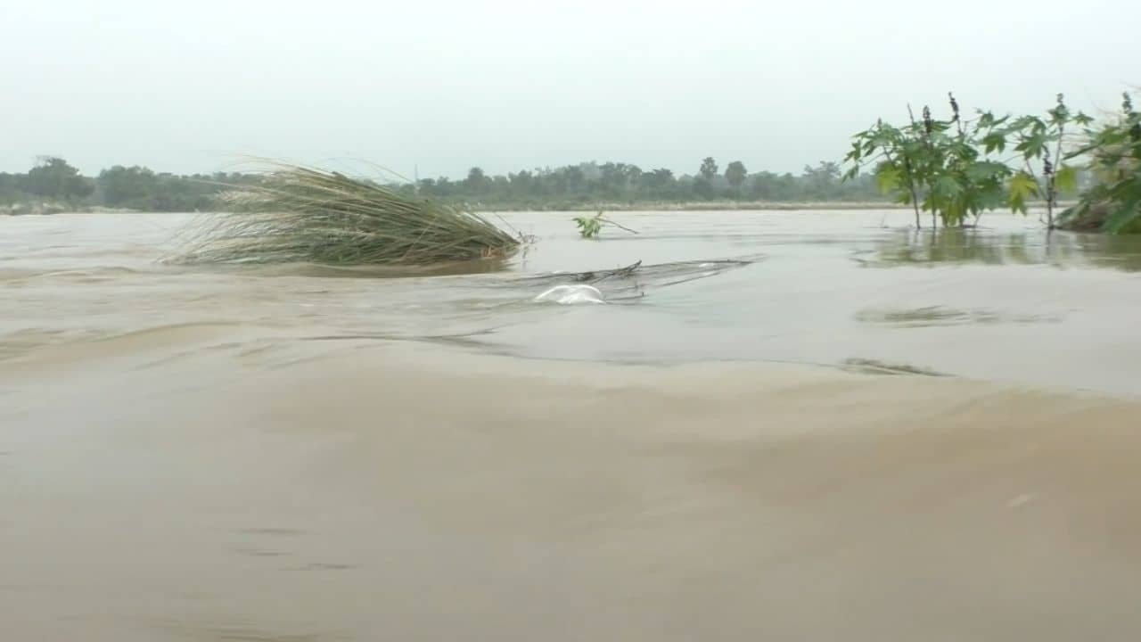 Bankura Flood: বাঁকুড়া যেন আস্ত দ্বীপ! ১৭-১৮ গ্রামে ঢুকে পড়ল দ্বারকেশ্বর