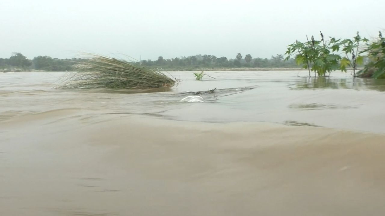 Bankura Flood: বাঁকুড়া যেন আস্ত দ্বীপ! ১৭-১৮ গ্রামে ঢুকে পড়ল দ্বারকেশ্বর