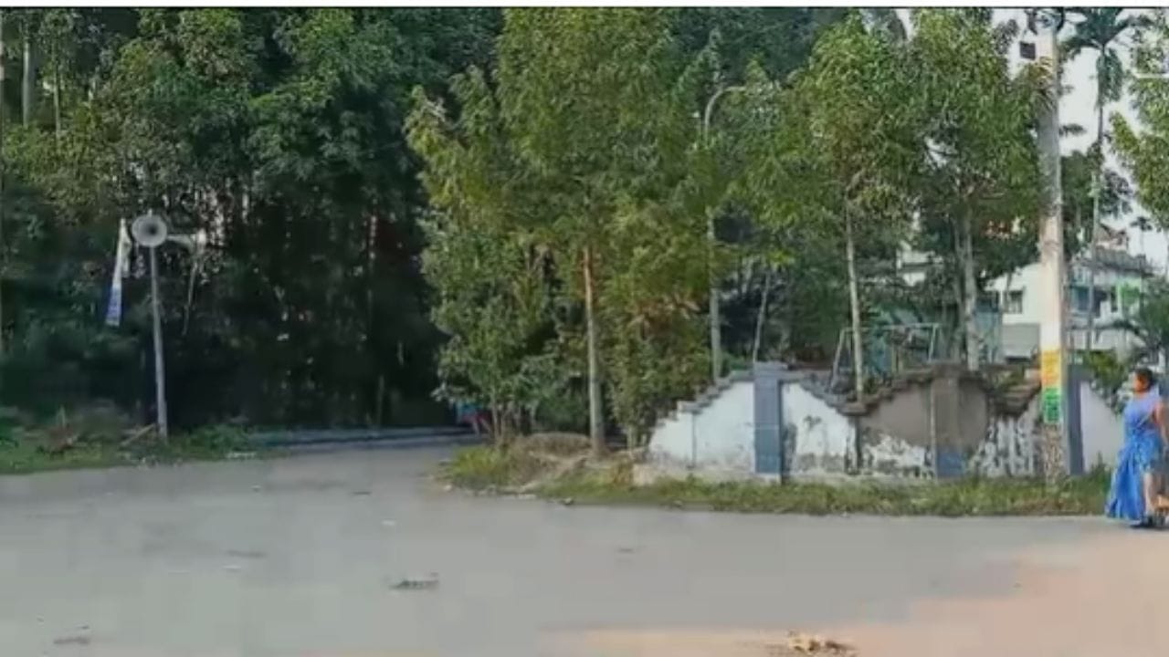 Basirhat: স্রেফ দুটো চোখ জ্বল জ্বল করে, সূর্য ডুবলেই গ্রামের গলিতে ...