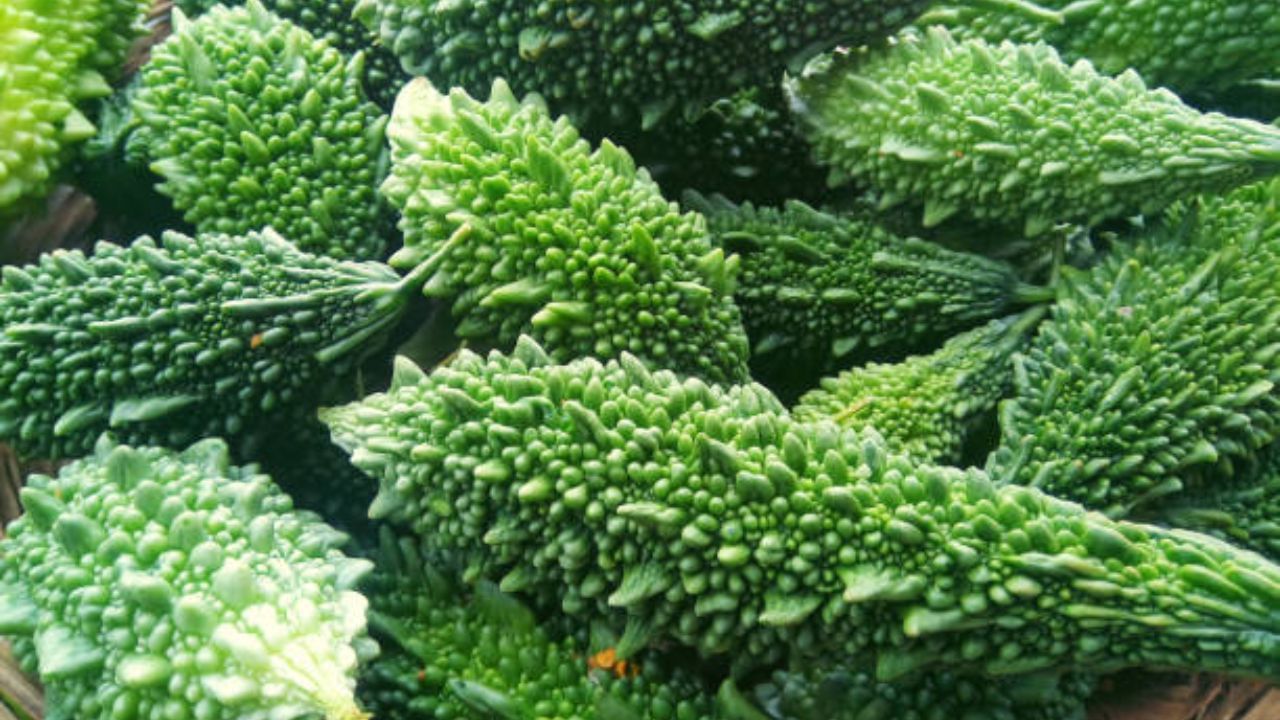 তেতো খেতে কার আর ভাল লাগে। তবে প্রথম পাতে এই তেতোর কোনও রকম বিকল্প নেই। করলা তেতো স্বাদের বলে অনেকেই পছন্দ করেন না। আর এই সবজির কোনও তুলনা হয় না। বিশেষজ্ঞরা তাই বলেন রোজ একটু করে করলা খেতে। এর মধ্যে যে গুণাবলী পাওয়া যায় তা খুব কম সবজিতেই পাওয়া যায় 